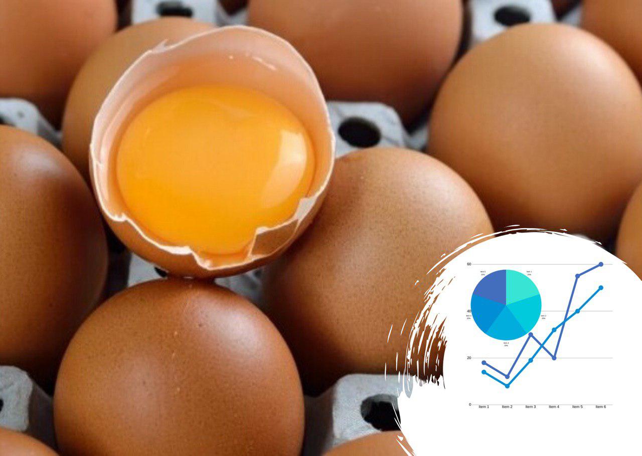 Анализ рынка яичных продуктов в Украине: скорлупа остается дома 